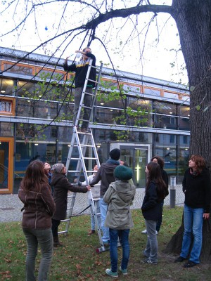 Baum Ballon abhängen